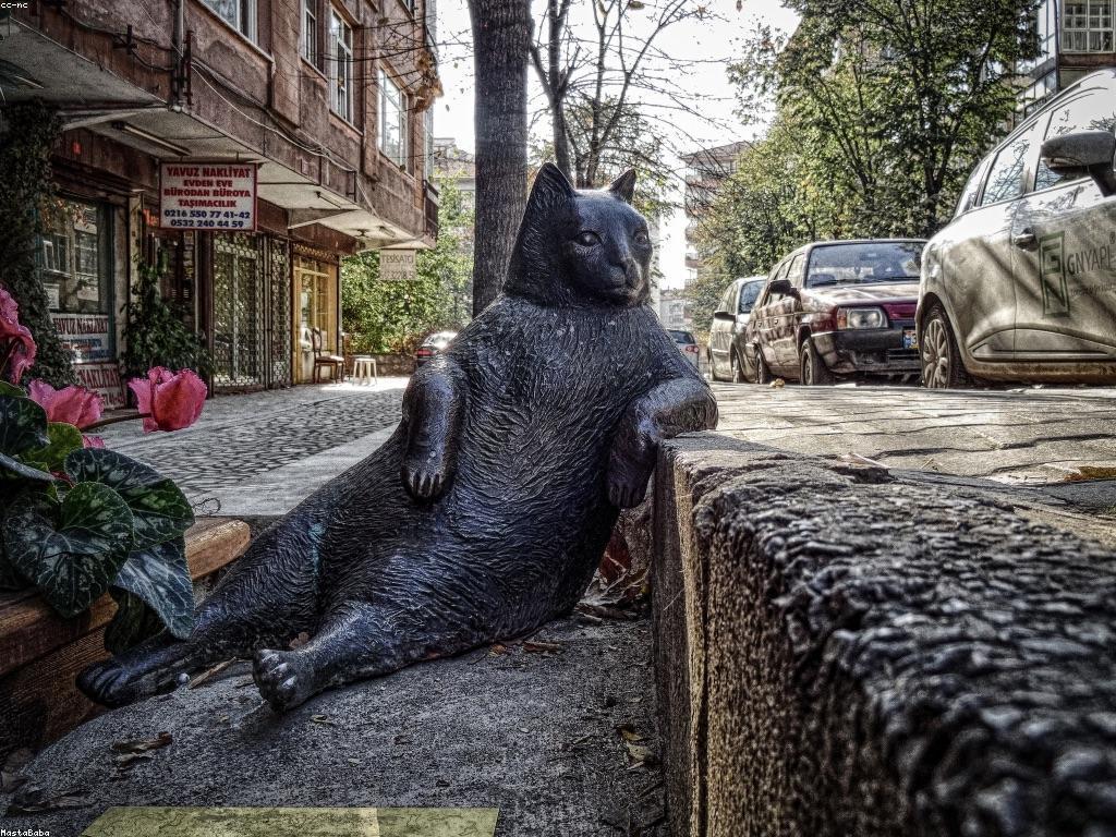 សេវាកម្មអតិថិជននៅ DVCasino